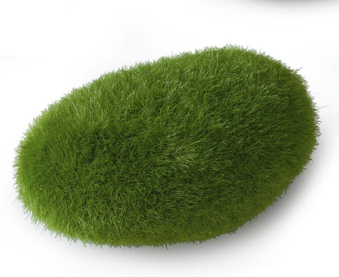 Aqua Della - Aquariumdecoratie - Vissen - Mos Bal M - 10x6,5x5cm - 1st