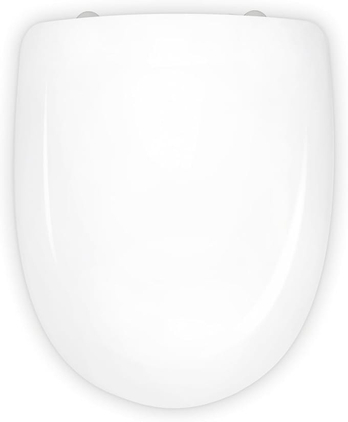 COMPATIBEL | ODEON JACOB DELAFON | INOX SCHARNIER | ZEER STREVIGE