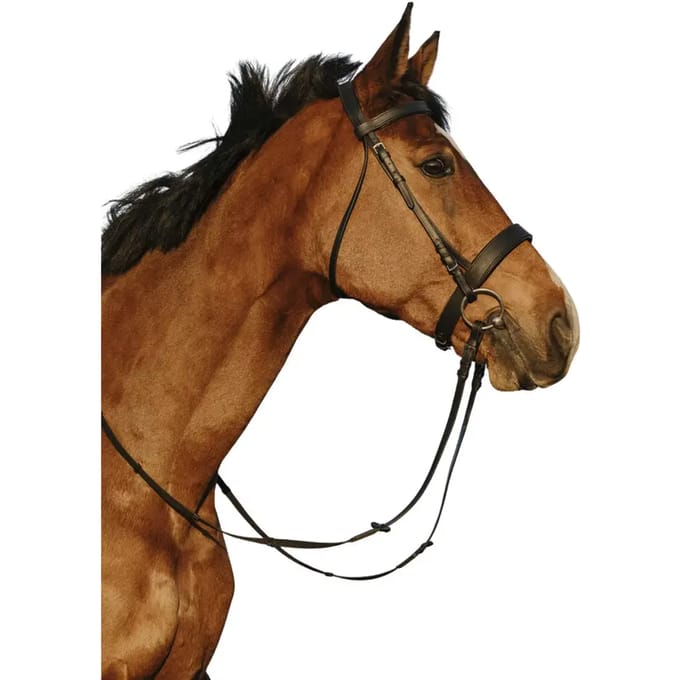 Engels gecombineerd hoofdstel, brede neusriem Riding World
