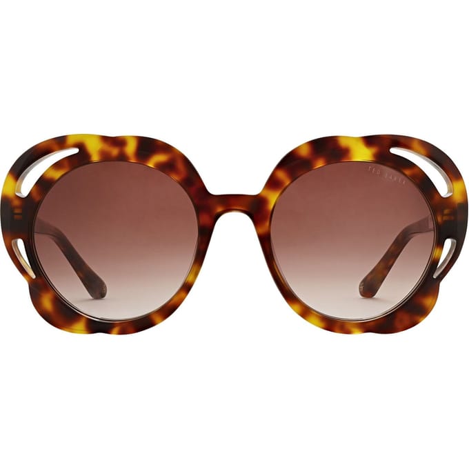 Zonnebril Ted Baker TB1772 100 53