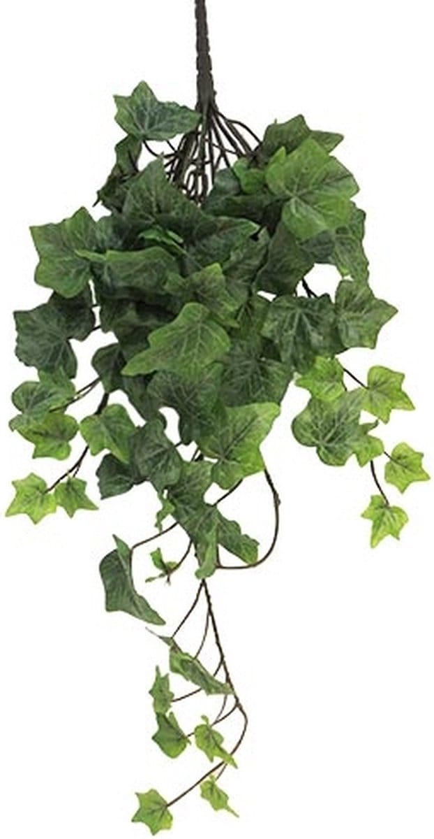Frosted Ivy Chicago hanger 46 cm kunsthangplant Erutan Avon