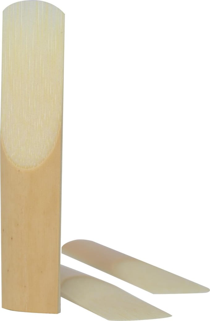 Stagg rieten Tenorsaxofoon 2