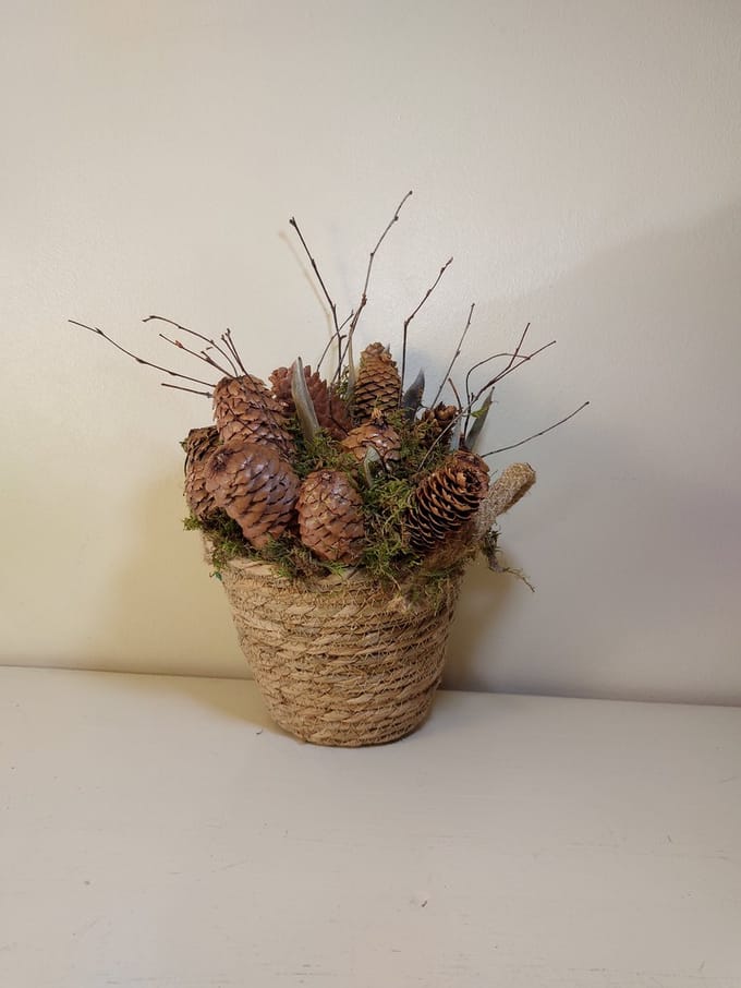 Mand met dennenappels & mos