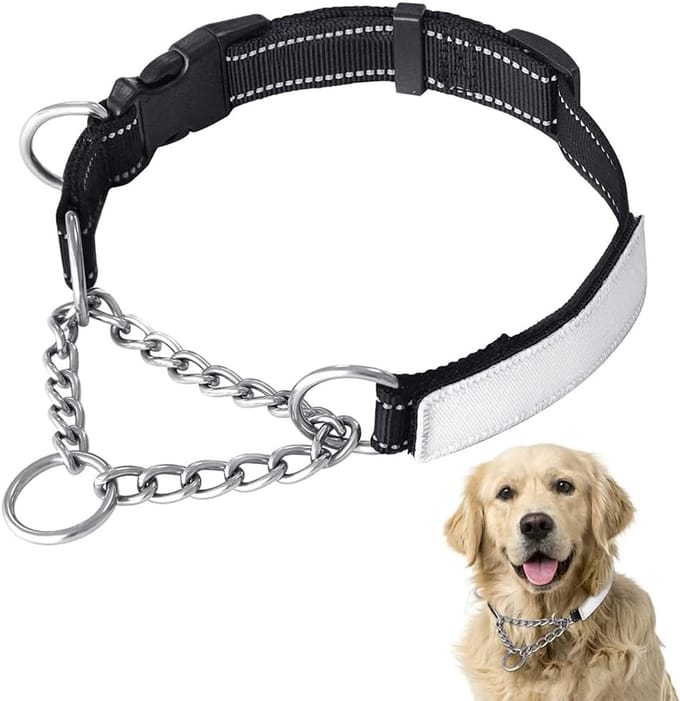 Hondenhalsband Reflecterend Nylon met Naamplaatje - Verstelbare Martingale Trainingshalsband
