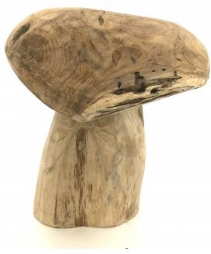 Mushroom teak 30cm