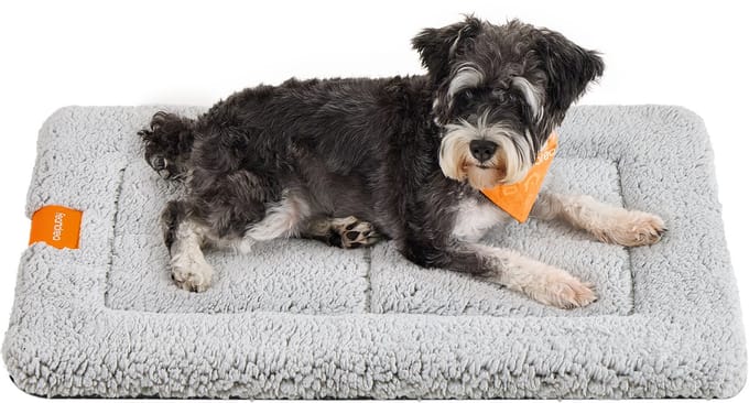 Feandrea - Hondendeken - Voor Honden en Katten - Machinewasbaar - Antislip