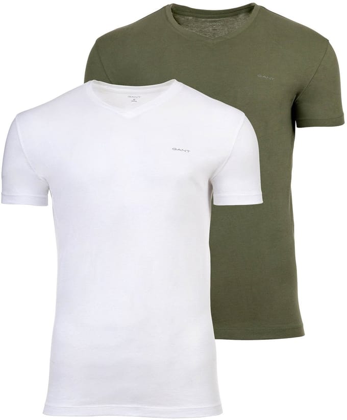 GANT T-shirt V-NECK T-SHIRT 2-PACK Set van 2