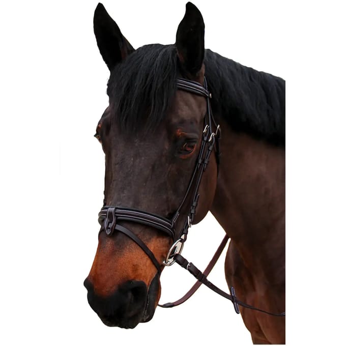 Gecombineerd hoofdstel met neusriem Canter Nino