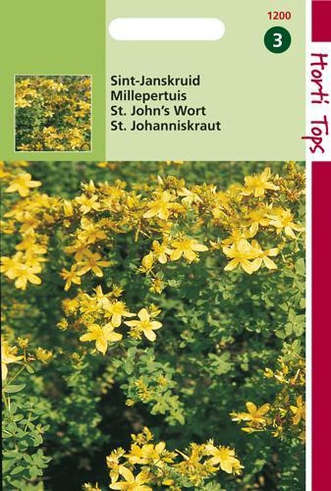Hortitops Zaden - St. Janskruid
