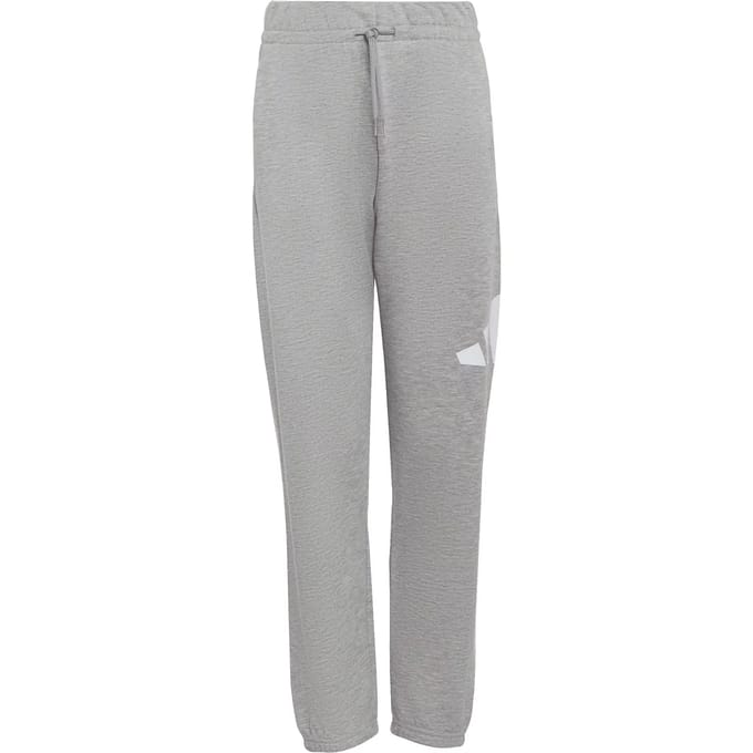 Adidas Essentials Joggers Grijs 11-12 Years Kinderen