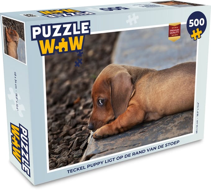 Puzzel Teckel puppy ligt op de rand van de stoep - Legpuzzel - Puzzel 500 stukjes