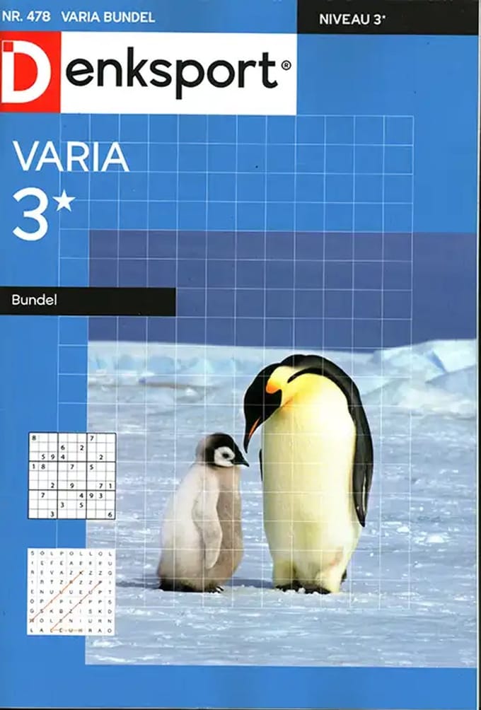 Denksport Variabundel - 478 2026