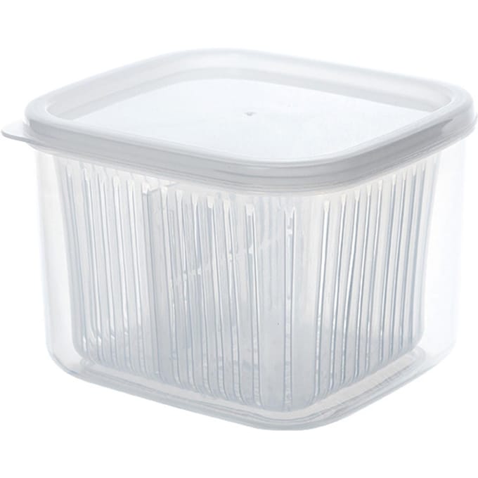 Lente-ui Crisper Afdruipend Verdeeld Multifunctioneel Plastic Lente-ui Vershoudcontainer voor transparant