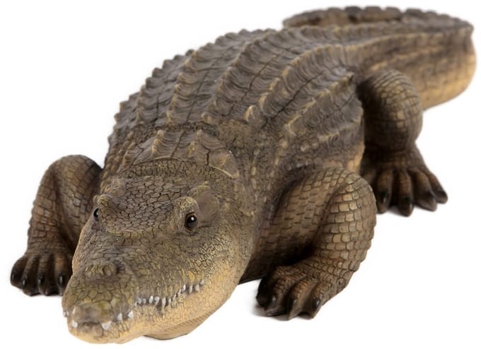 Rustende krokodil