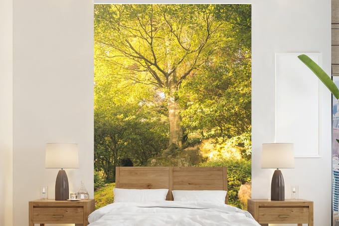 Behang - Fotobehang Bos - Licht - Japan - Breedte 145 cm x hoogte 220 cm