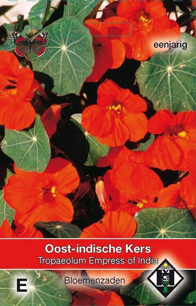 2 stuks Van Hemert & Co Tropaeolum m.n. Empress of India