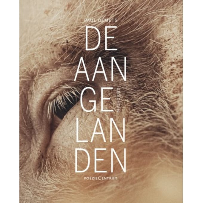 De Aangelanden - Paul Demets
