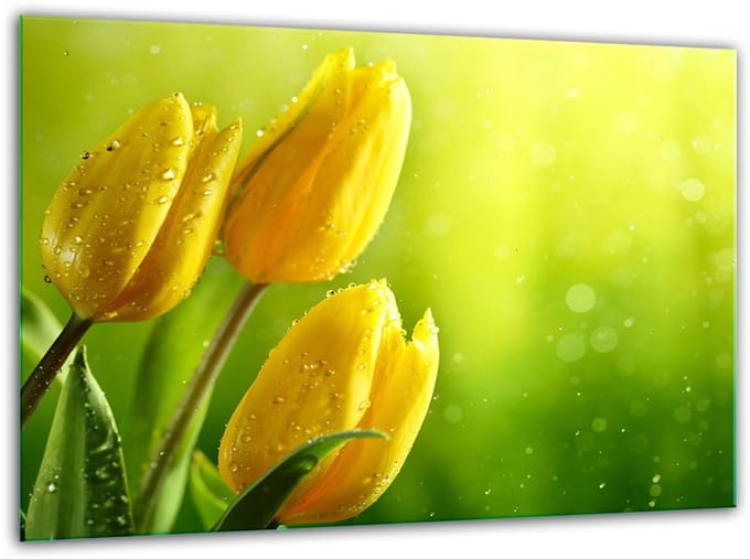 TMK ArtDeko - Snijplank - Gehard Glas - 30x22 cm - Tulpen