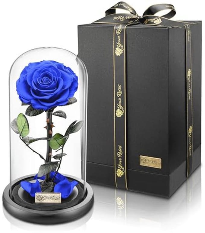 Echte premium roos in glas met geschenkdoos – Lange houdbaarheid en stijlvol cadeau