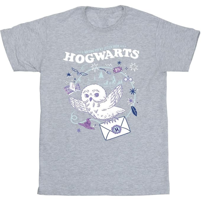 Harry Potter Jongens Uil Brief Van Zweinstein T-Shirt (Sportgrijs)