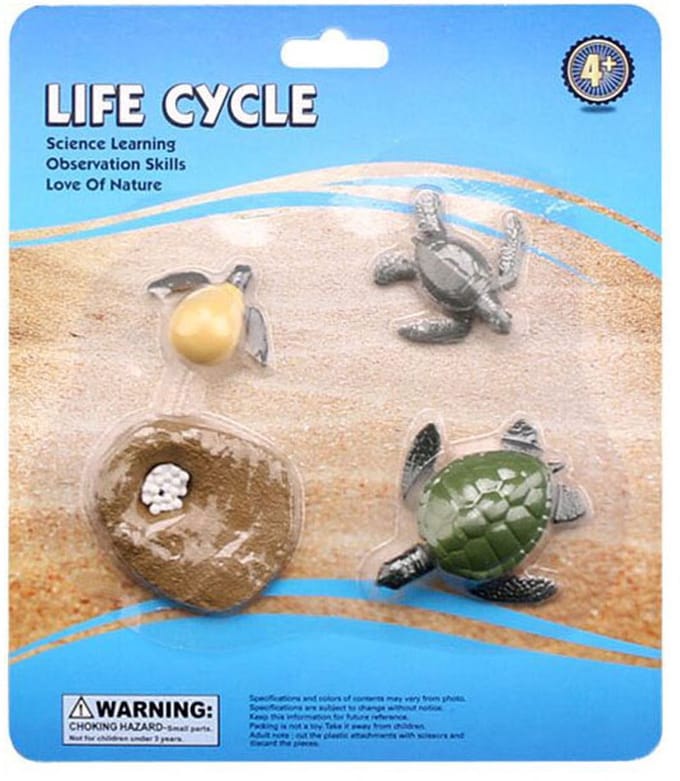 Levenscyclus Schildpad Speelfiguren Set