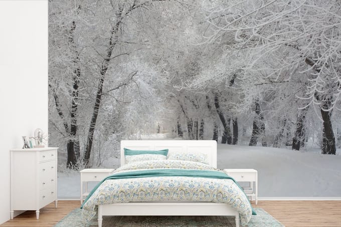 Behang - Fotobehang Bomen - Sneeuw - Winter - Breedte 525 cm x hoogte 350 cm