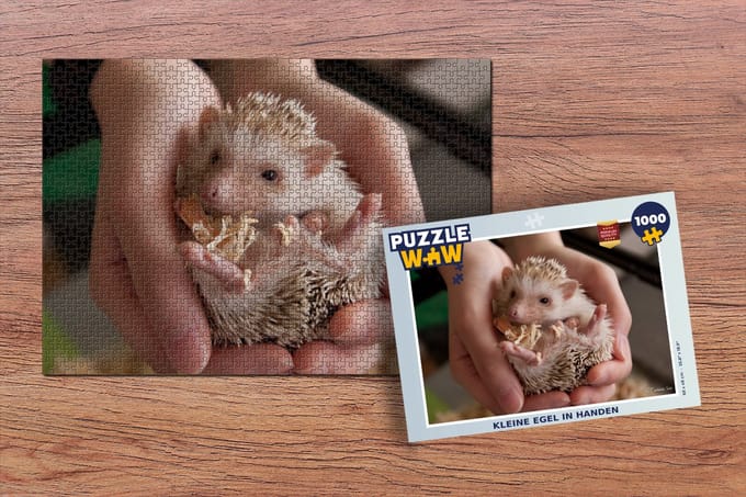 Puzzel Kleine egel in handen - Legpuzzel - Puzzel 1000 stukjes volwassenen
