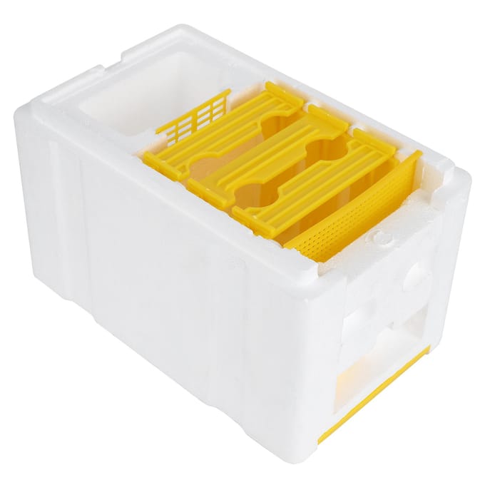 Koninginnenteeltkast Schuim Broed Opfok Copulatie Accessoire Imkerij Uitrusting yellow