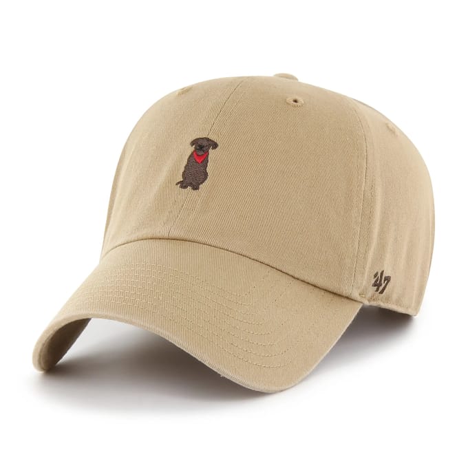 47 Dog Base Runner Icon Clean Up Pet Beige