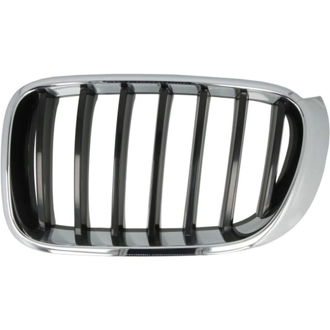 Radiatorrooster BLIC 6502-07-00939933P links