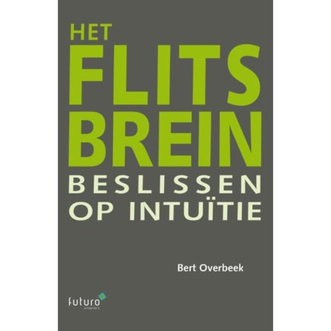 Het Flitsbrein - Bert Overbeek