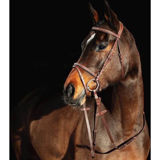 Horze Constance Gevoerd Gecombineerd Hoofdstel, Light Brown, Warmblut