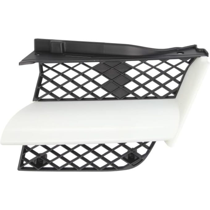 Radiatorrooster BLIC 6502-07-3749991P links