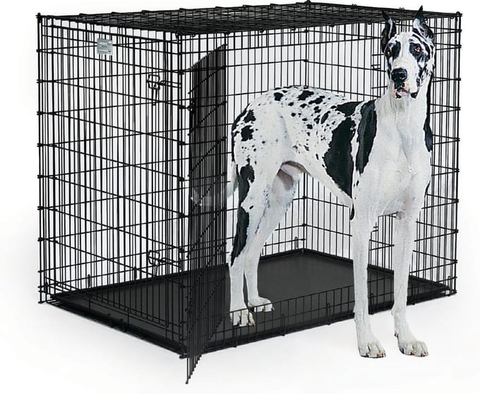 Midwest Hondenbench Mega - 137x94x114 cm - Zwart