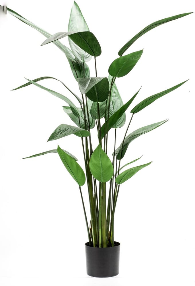 Emerald - Kunstplant Heliconia 125cm - Kunstplant voor binnen