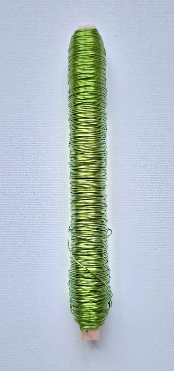 Wikkeldraad – Appel Groen - 1 Stuks – 0.50 mm x 50 m - 100 g - WIK-005
