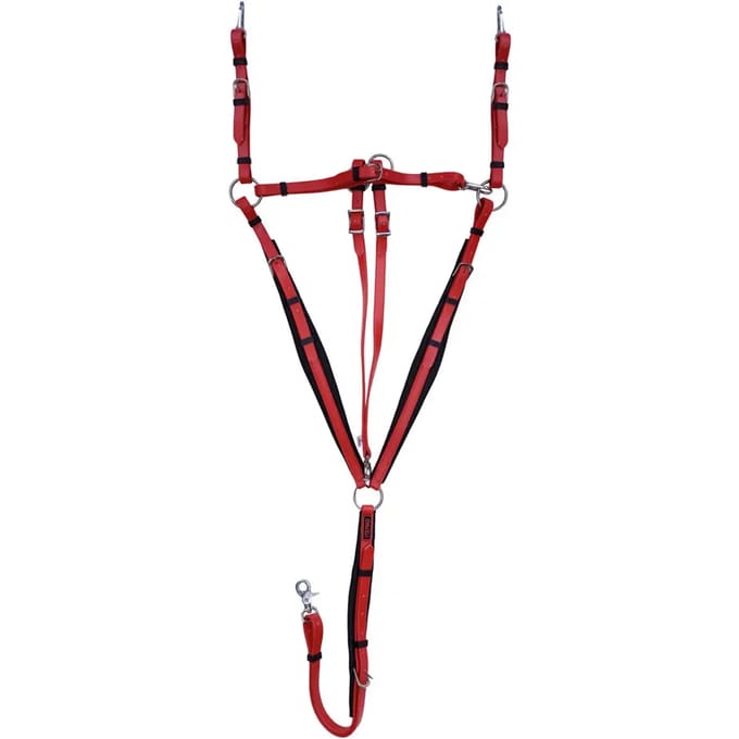 Jachtcollier voor paard met martingale Zaldi