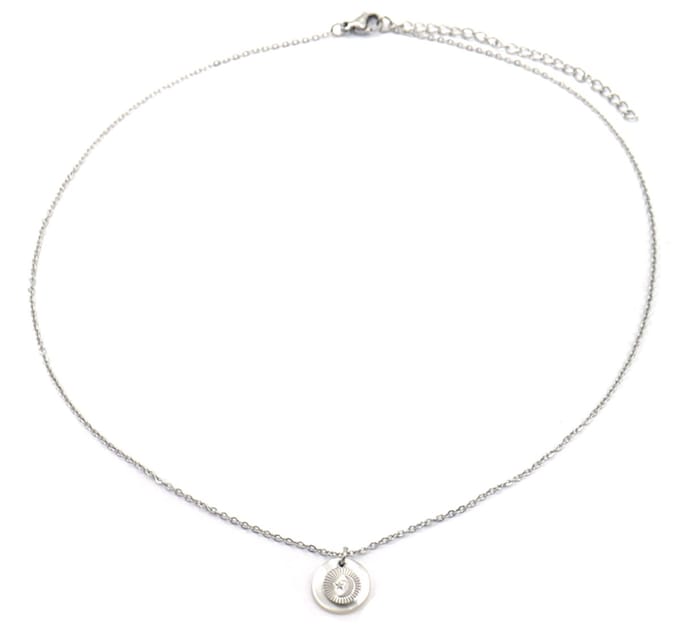 Ketting Schelp en Munt - RVS - Lengte 39-44 cm - Zilverkleurig