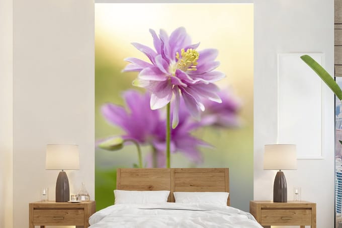 Behang - Fotobehang Close-up akelei - Breedte 200 cm x hoogte 300 cm