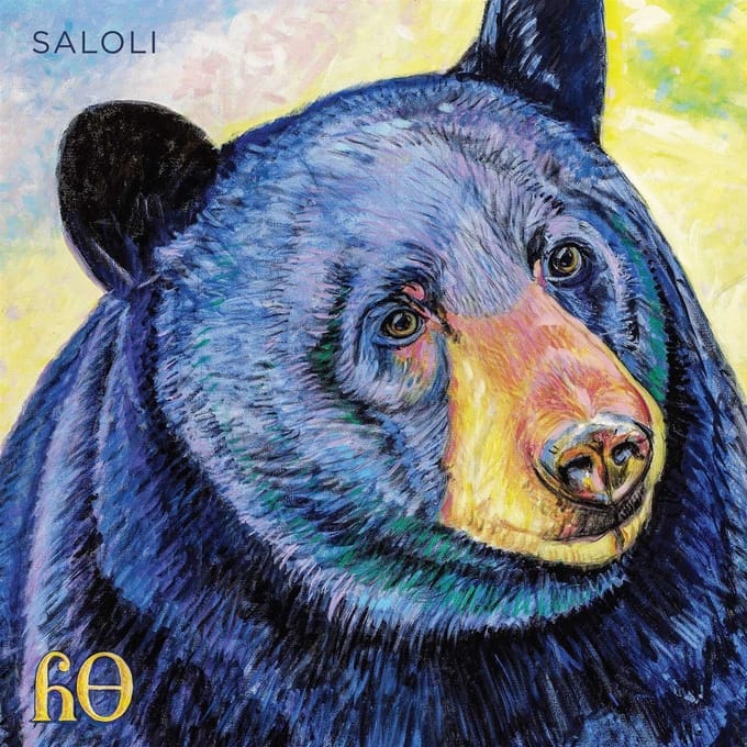 Saloli - Canyon (LP)