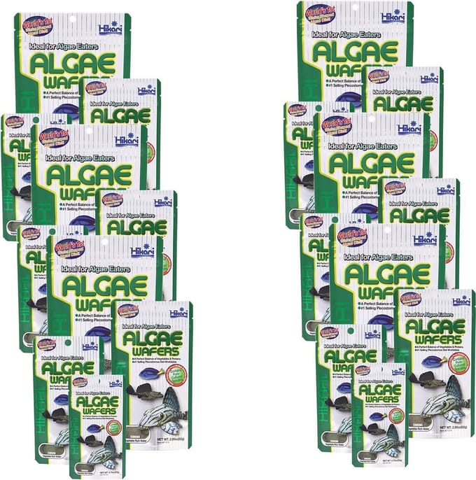 Hikari Algae Wafers - Vissenvoer - 6 x 40 g