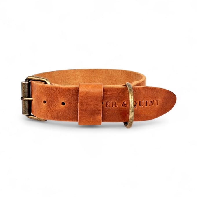 Cooper & Quint Bold Brede Leren Halsband - Camel - Medium - 4 cm - Oud Messing