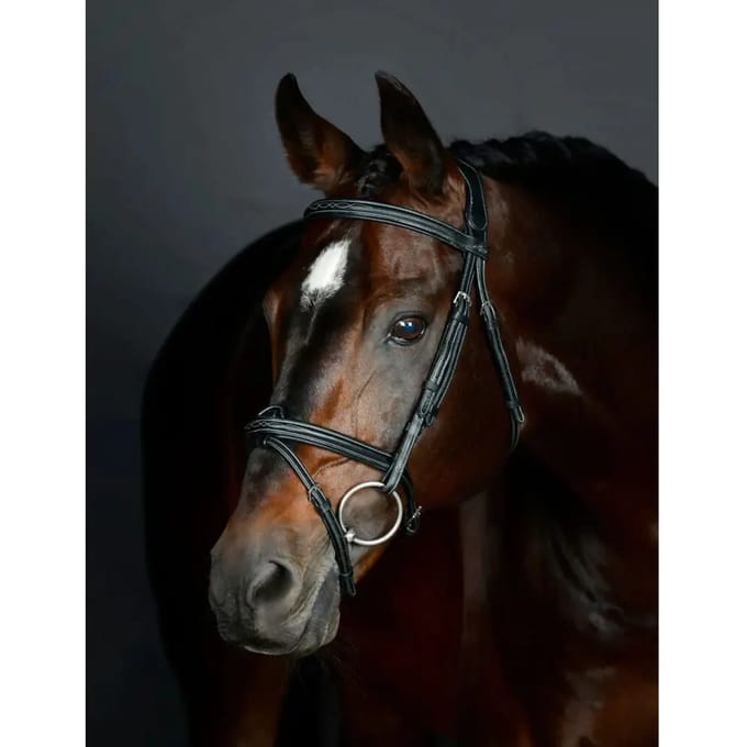 Gewatteerde hanoverse zadelsportteugel Collegiate Comfitec Opulux Fancy Stitch