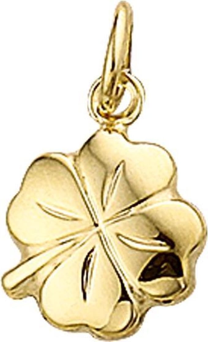 The Jewelry Collection Bedel Klavertje 2-zijdig - Goud