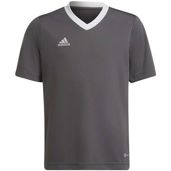 adidas Performance Entrada 22 Voetbalshirt - Kinderen - Grijs - 140