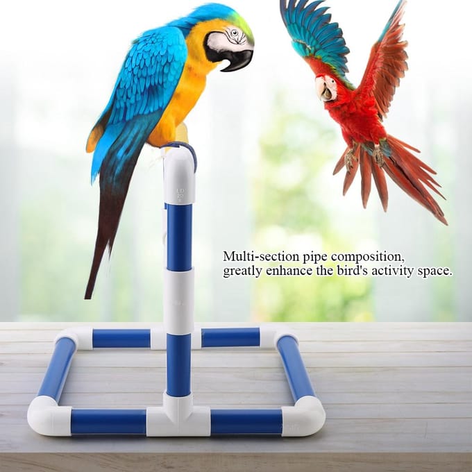 Support Perchoir Perroquet Râtelier Centre de Jeu Oiseau Plateau Jouet Entraînement (Frotter) white