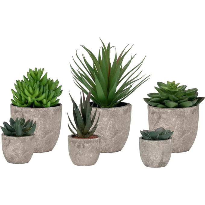 Bloemen House Nordic Spello (x150)