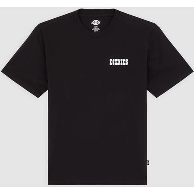 Dickies T-shirt - PLAIN CITY TEE - S tot L - voor Mannen - zwart