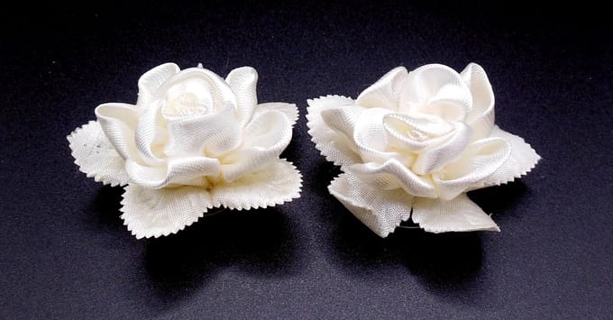 Curlies bloem crèmekleur met getande bladeren