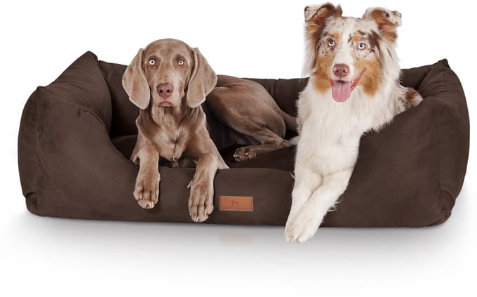 Knuffelwuff Hondenbed Dreamline van velours M-L 105 x 75cm bruin